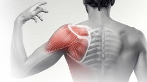 Muscle pain treatment